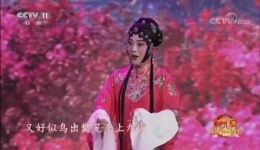 评剧《杜十娘》经典选段，王冠丽滕建东倾情演绎，不容错过的戏曲盛宴下载