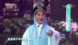 黄梅戏《春香传》选段吴琼宋小川演绎夫妻恩爱，经典百看不厌！下载