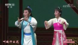 黄梅戏《打猪草》张辉吴美莲演唱经典选段戏曲视频下载下载