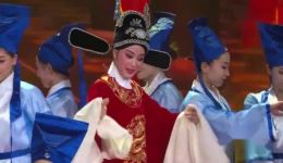 黄梅戏《女驸马》经典选段，吴美莲倾情演唱，韵味悠长，免费戏曲资源速存！下载