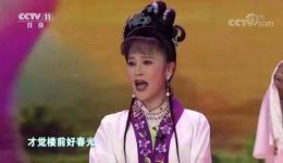 黄梅戏《桃花扇》选段下载，金波姜雨欣精彩演绎，纯正黄梅韵味在线收听下载