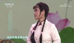 黄梅戏《啼笑因缘》经典选段下载，张伟林蜜蜜演唱，高清戏曲视频资源下载