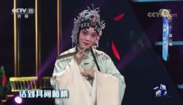昆曲《牡丹亭》张云起演唱,细腻动听全新演绎,经典戏曲在线下载 昆曲《牡丹亭》张云起演唱,细腻动听全新演绎,经典戏曲在线下载