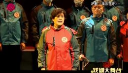 沪剧《玉兰花开》选段MP3下载 - 沈慧琴陈瑜顾恺李建华主演抗疫题材沪剧下载