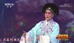 淮剧《卖油郎独占花魁》梁伟平经典选段，醇厚唱腔演绎真挚爱情
