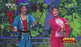淮海戏《回娘家》经典选段许亚玲徐建军联袂演绎，乡音婉转唱尽归乡情下载