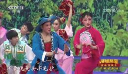 淮海戏《回娘家》经典选段，许亚玲徐建军精彩演绎，舞台演唱引观众掌声不断下载