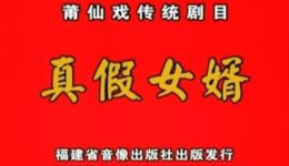 真假女婿