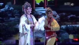 昆曲《牡丹亭》经典选段下载 魏春荣陈娟娟演唱 不容错过 昆曲《牡丹亭》经典选段下载 魏春荣陈娟娟演唱 不容错过