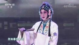 昆曲《牡丹亭》选段鞠萍跨界演唱，经典戏曲视听盛宴在线下载下载