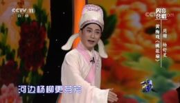 黄梅戏《桃花扇》经典选段下载，周珊杨舒星倾情演唱，字正腔圆韵味足下载