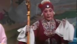 豫剧经典《对花枪》崔兰田主演，瓦岗寨夫妻相认故事在线下载下载