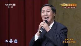 柳荫记·访友