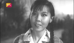 经典豫剧《朝阳沟》选段免费下载，魏云原声演唱，重温传统戏曲魅力下载