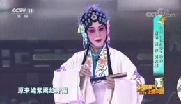 鞠萍跨界演绎昆曲《牡丹亭》选段，唱腔惊艳尽显国粹魅力下载