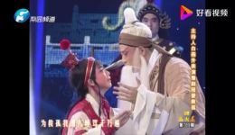 豫剧《程婴救孤》选段白燕升演唱高清MP4下载，经典戏曲资源一键获取下载