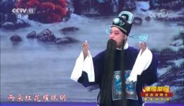 黄梅戏《罗帕记》经典选段刘国平倾情演唱，不容错过的戏曲盛宴下载