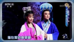 黄梅戏《牛郎织女》选段陈邦靓马腾深情献唱，经典唱段在线下载下载