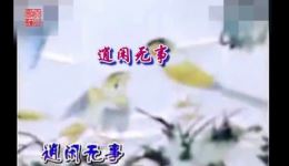 民间小调《逍闲无事》徐善云演唱戏曲视频MP4下载-正版民间艺术资源速取 民间小调《逍闲无事》徐善云演唱戏曲视频MP4下载-正版民间艺术资源速取