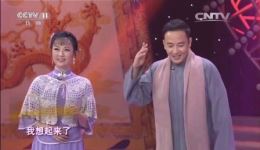 黄梅戏《春》经典选段下载 侯长荣何云联袂演绎 不容错过下载