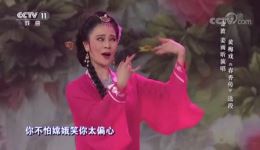黄梅戏《春香传》经典选段下载金波蒋雨昕甜蜜对唱，一字一句尽显深情下载