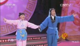 黄梅戏《打猪草》经典选段金龟子与青蛙王子倾情演绎，观众掌声不断！下载