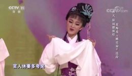 黄梅戏《桃花扇》经典选段皓天陈丽媛倾情演绎，不容错过的戏曲盛宴下载