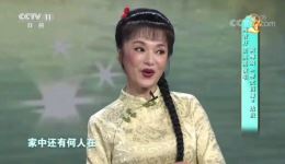 黄梅戏《啼笑因缘》经典选段下载 - 阎青妤田英男演唱高清资源下载