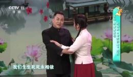 黄梅戏《啼笑因缘》选段在线观看，张伟林蜜蜜经典演绎，重温啼笑因缘戏曲魅力下载