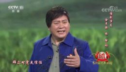 头燕归来