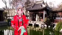 西路评剧《孙继皋卖水》坐楼张淑桂八旬录制 经典剧目在线下载