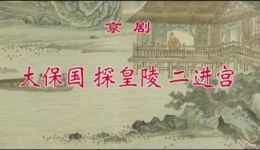 大保国 探皇陵 二进宫