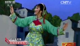 绍兴莲花落经典《翠姐姐回娘家》在线观看下载，品味民间生活百态