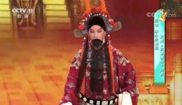 京剧《四郎探母》选段吴琼、宋小川字正腔圆演绎，经典唱段在线下载下载