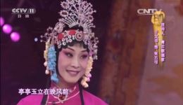 于文华演唱评剧《花为媒》经典选段，婉转唱腔演绎传统戏曲魅力