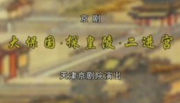 京剧经典《大·探·二》赵秀君等主演，天津京剧院精彩呈现