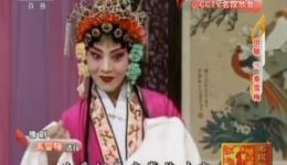 豫剧名家田敏演唱《桃花庵》《秦雪梅》《朝阳沟》经典选段MP4视频下载 豫剧名家田敏演唱《桃花庵》《秦雪梅》《朝阳沟》经典选段MP4视频下载