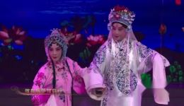 京剧《春闺梦》经典选段迟小秋包飞倾情演绎，程派经典不容错过下载