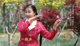 豫剧《朝阳沟》经典选段杨红霞盛红林精彩演绎，传承现代戏不朽魅力下载