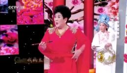 豫剧《风流才子》选段下载王希玲现场作画，一分钟惊艳演绎下载