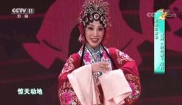 豫剧《抬花轿》程桂兰演唱经典选段，纯正韵味在线畅听