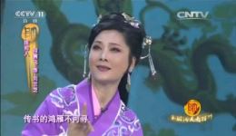 何赛飞、茅威涛领衔！越剧《孔雀东南飞》经典选段，凄美爱情震撼上演下载
