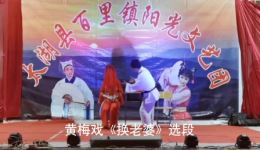 黄梅戏《换老婆》选段视频MP4下载,经典戏曲资源一键获取 黄梅戏《换老婆》选段视频MP4下载,经典戏曲资源一键获取