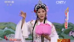 珍珠塔