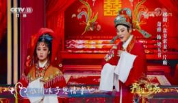 越剧《盘妻索妻·洞房》萧雅演唱 经典尹派名段MP4视频下载下载