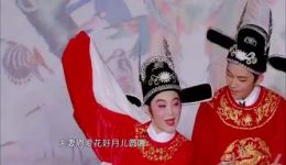 黄梅戏《女驸马》选段下载林青霞何炅演唱MP4戏曲视频资源下载