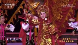 龙江剧《花木兰》经典选段下载，李雪飞精彩演绎，字正腔圆韵味足