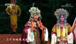 施洁净绍剧《佘太君》经典选段铿锵唱腔演绎家国情怀,在线观看 施洁净绍剧《佘太君》经典选段铿锵唱腔演绎家国情怀,在线观看
