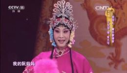 于文华演唱评剧《花为媒》选段，婉转唱腔演绎经典，在线畅听戏曲魅力