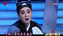 杀狗记